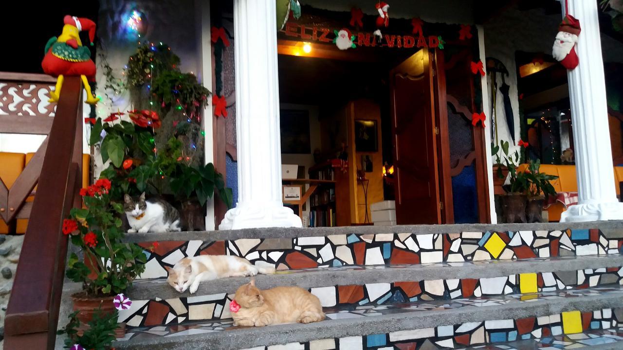하르딘 Coliving La Boira B&B 외부 사진